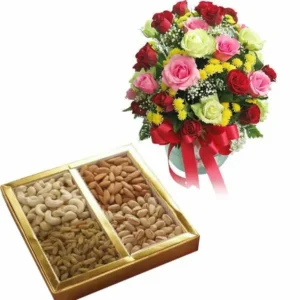 Roses Delight with Assorted Mini Dryfruits